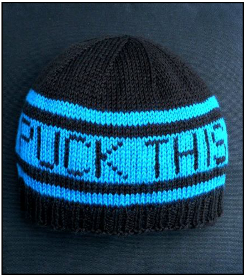 Show Team Spirit with 'You Puck This!' Knitted Hat Pattern: Customizable Hockey Team Colors pattern preview