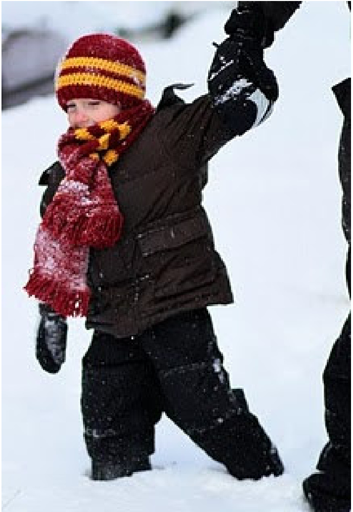 Harry Potter Gryffindor Beanie Hat Crochet Pattern by Cap & Crown for Child Sizes 5-9 Years pattern preview