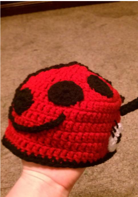 LadyBug Crochet Hat Pattern for Various Ages with Detailed Instructions and Accessories pattern preview