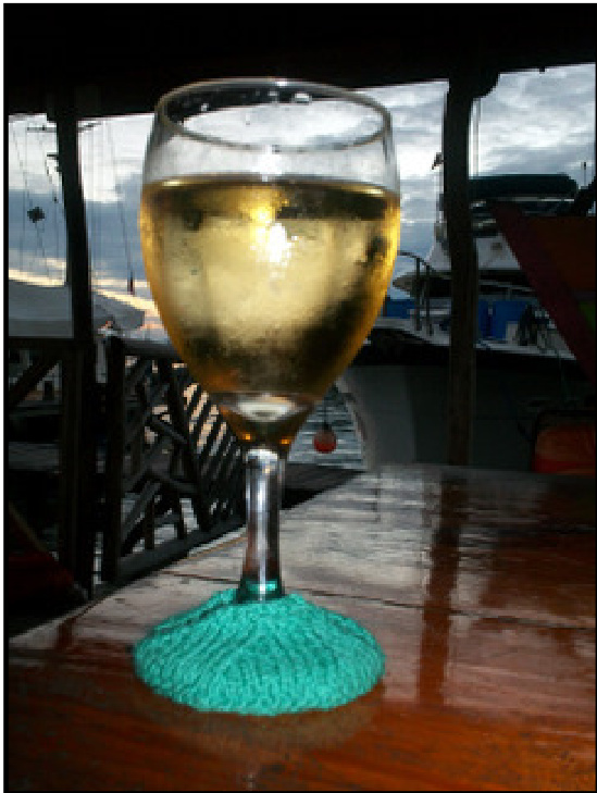 Wine Glass Slip-On Coasters Knitting Pattern by Terry Liann Morris - SailingKnitter (HMG 2012 January Mystery) pattern preview