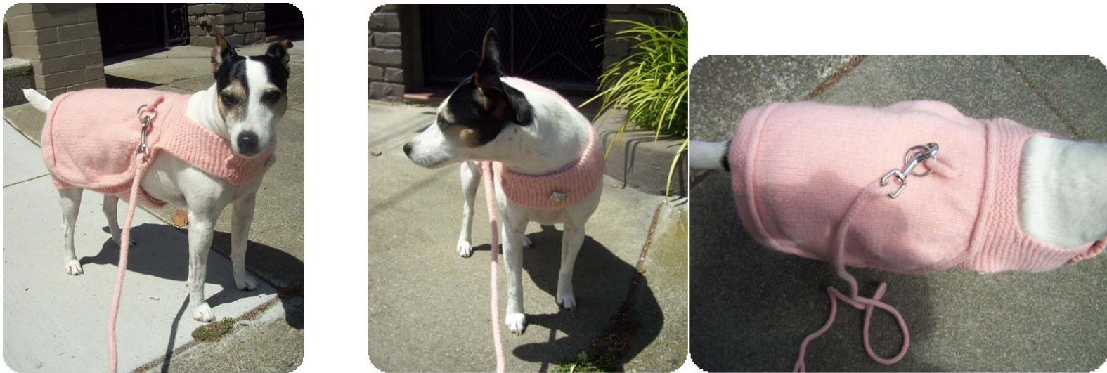 Nob Hill Dog Harness Pattern: Felted Couture Pet Garment with Custom Fit and Stylish Design by Daisy Yarns of San Francisco pattern preview