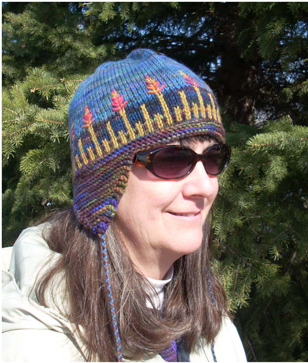 MARSHLANDS: Multi-Colored Hat with Earflaps and Embroidery by Amy E. Anderson pattern preview