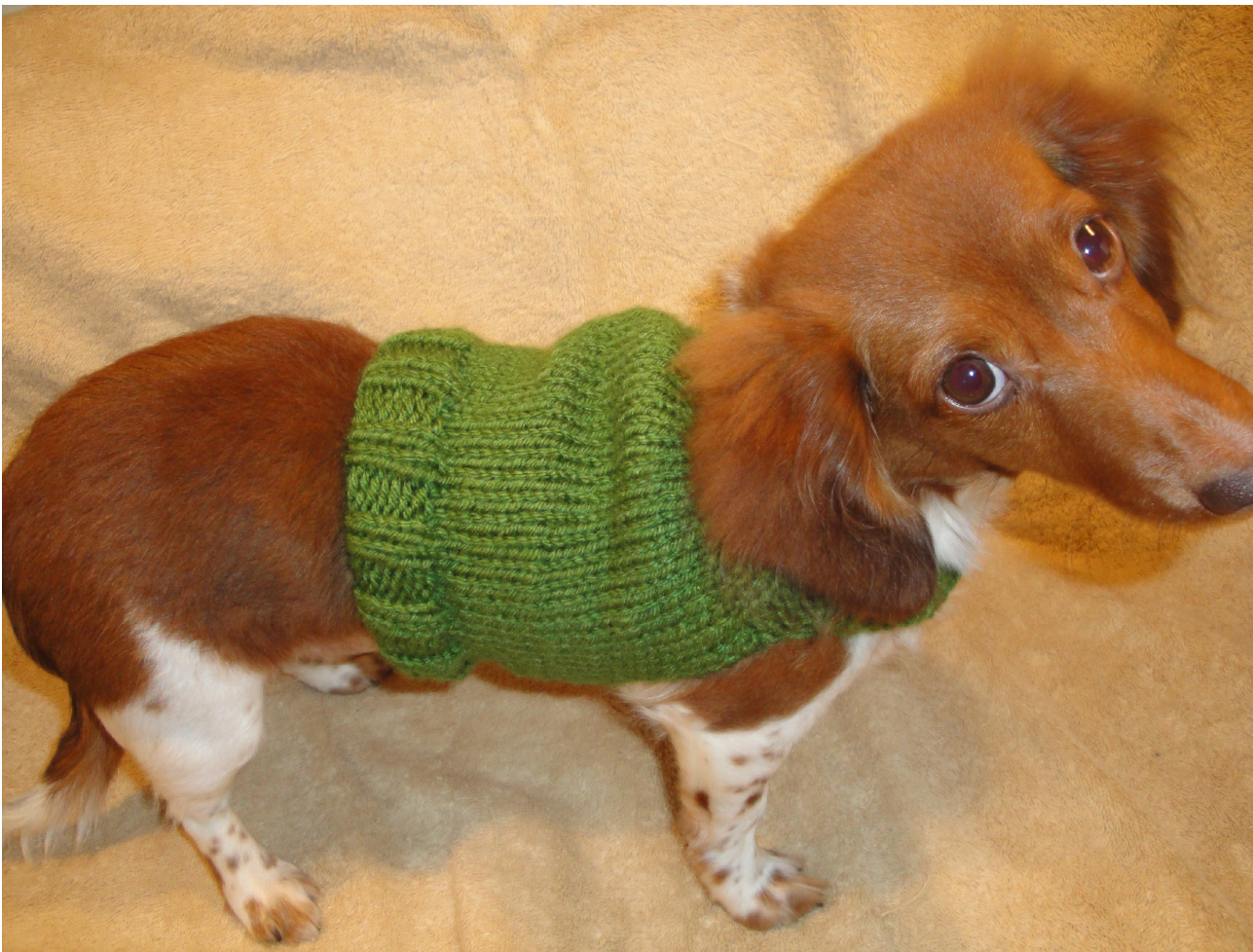 Dachshund Anxiety Sweater: Amigurumi Knit Pattern for Calming Your Puppy pattern preview