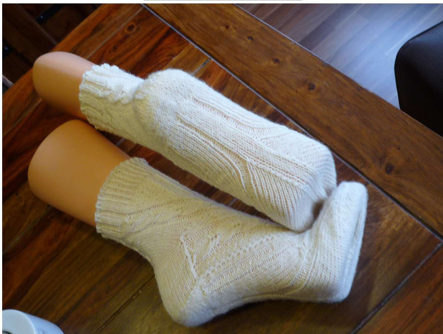 Elfriede Sock Design: Detailed Toe-Up Knitting Pattern for Sizes 38-41 pattern preview