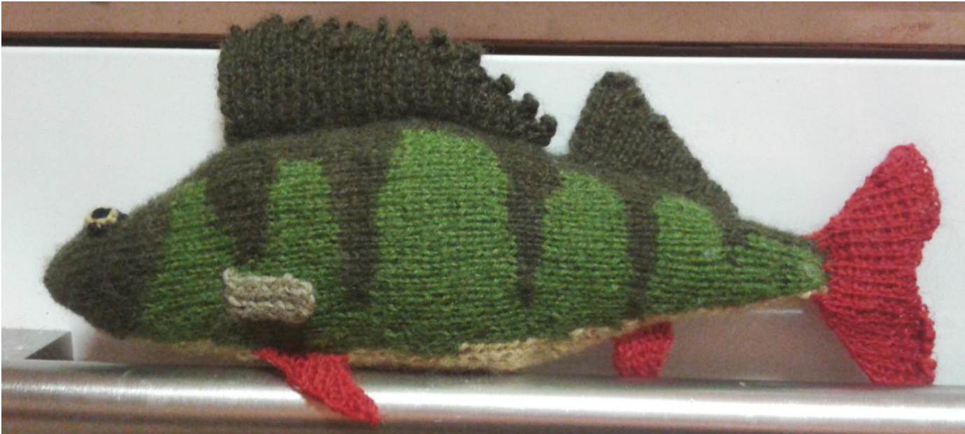 Detailed Knitting Pattern for Monas Fish: Body, Fins, and Eyes with Diagram and Instructions pattern preview