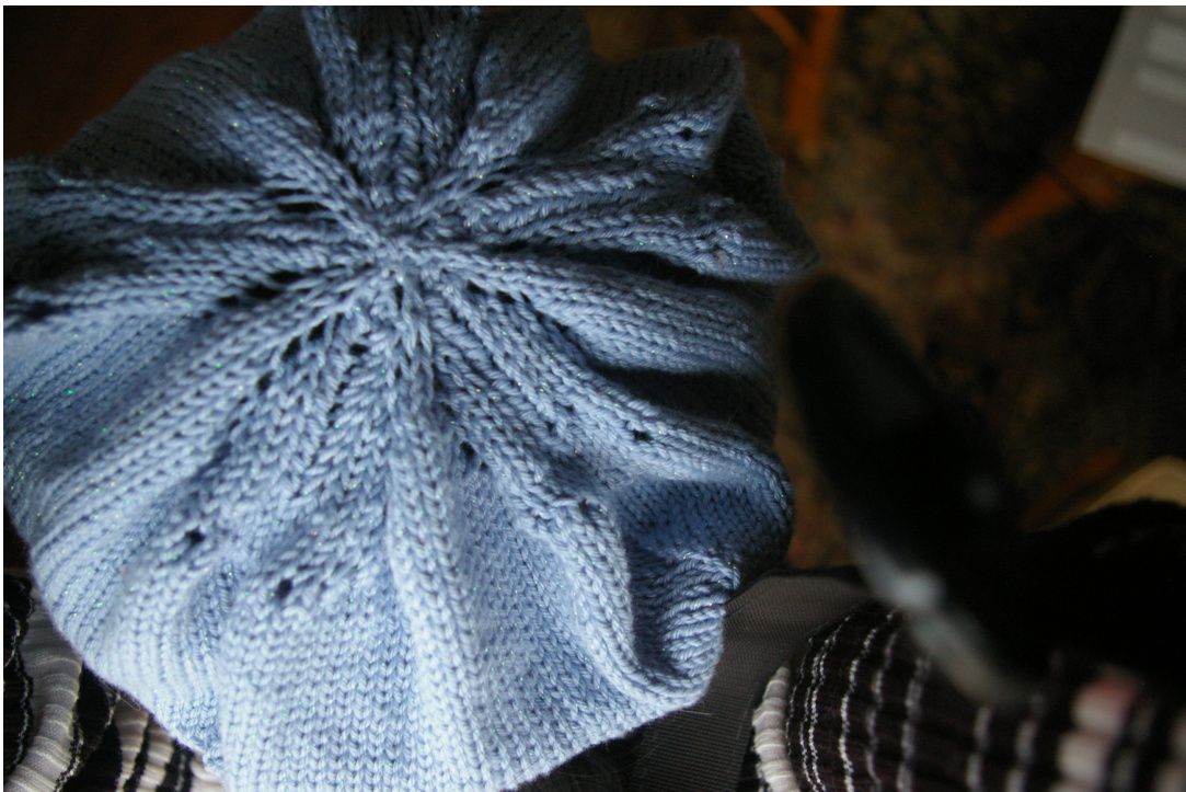 Knitting Pattern for Sand Dollar Hats: A Unique and Charming Project for Babies and Adults pattern preview