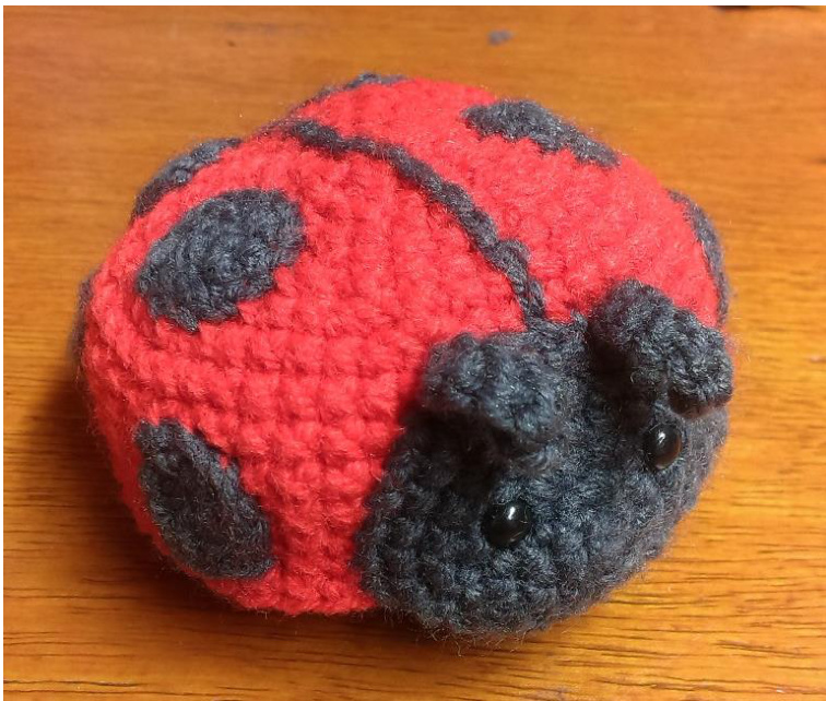 Crochet Pattern for Adorable Ladybird Amigurumi Toy with Detailed Instructions and Assembly Guide pattern preview